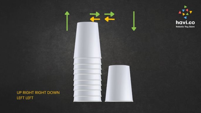cup coding activity