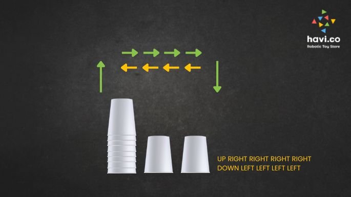 cup coding activity