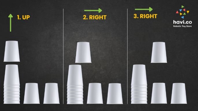 cup coding activity
