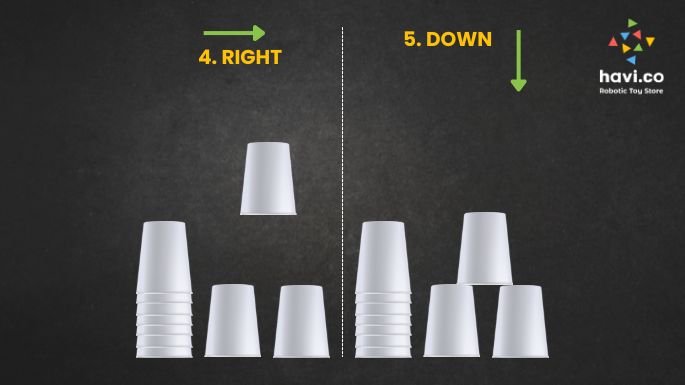 cup coding activity