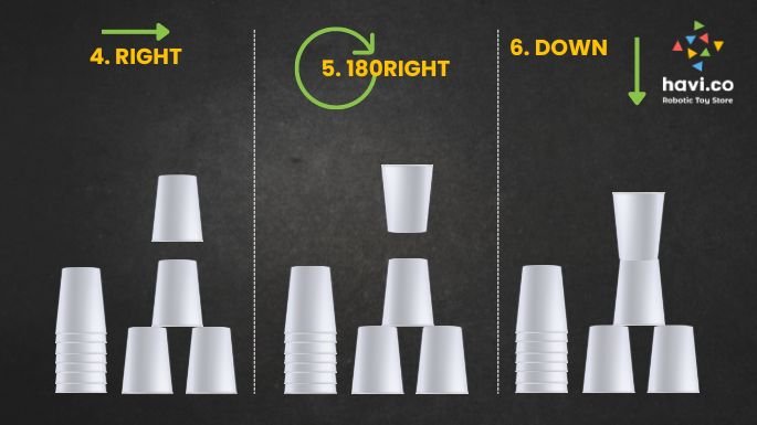 cup coding activity