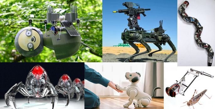 animal bots