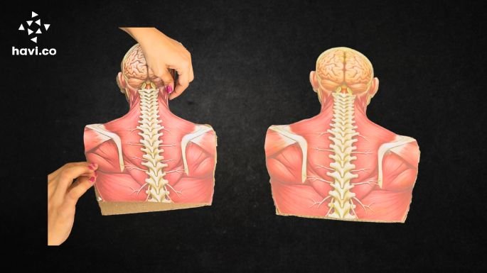reflex action model making step 3