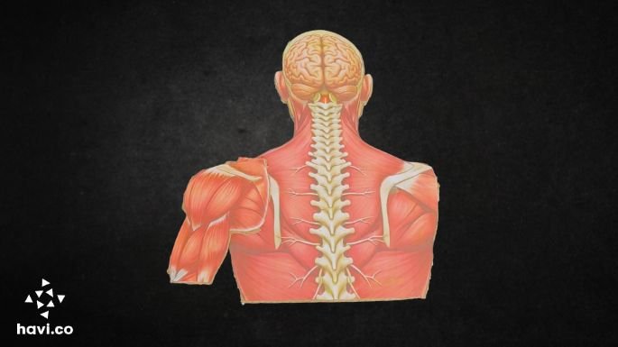 reflex action model making step 6