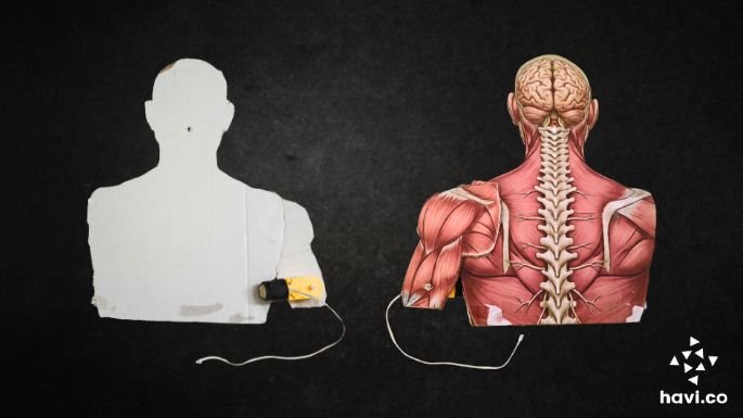 reflex action model making step 7