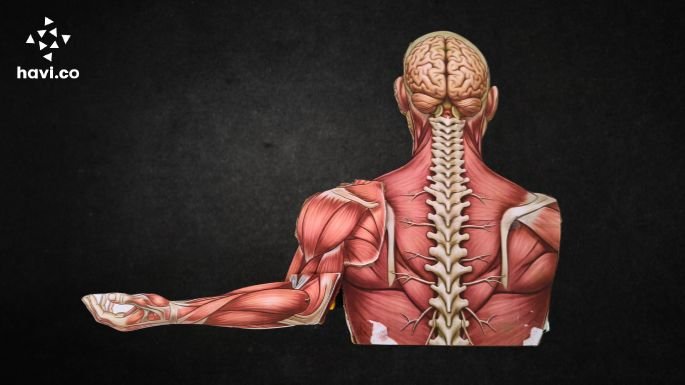 reflex action model making step 9